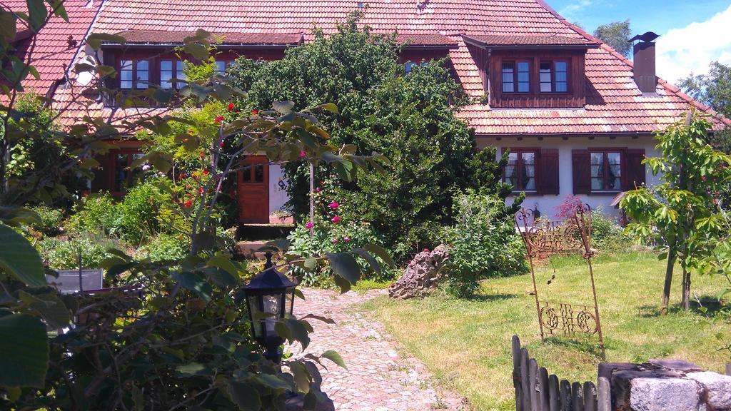 Schweizerblick Apartment Hänner Exterior foto